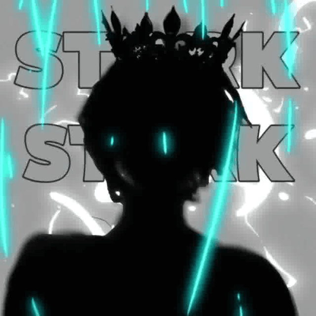 Stark's profile picture